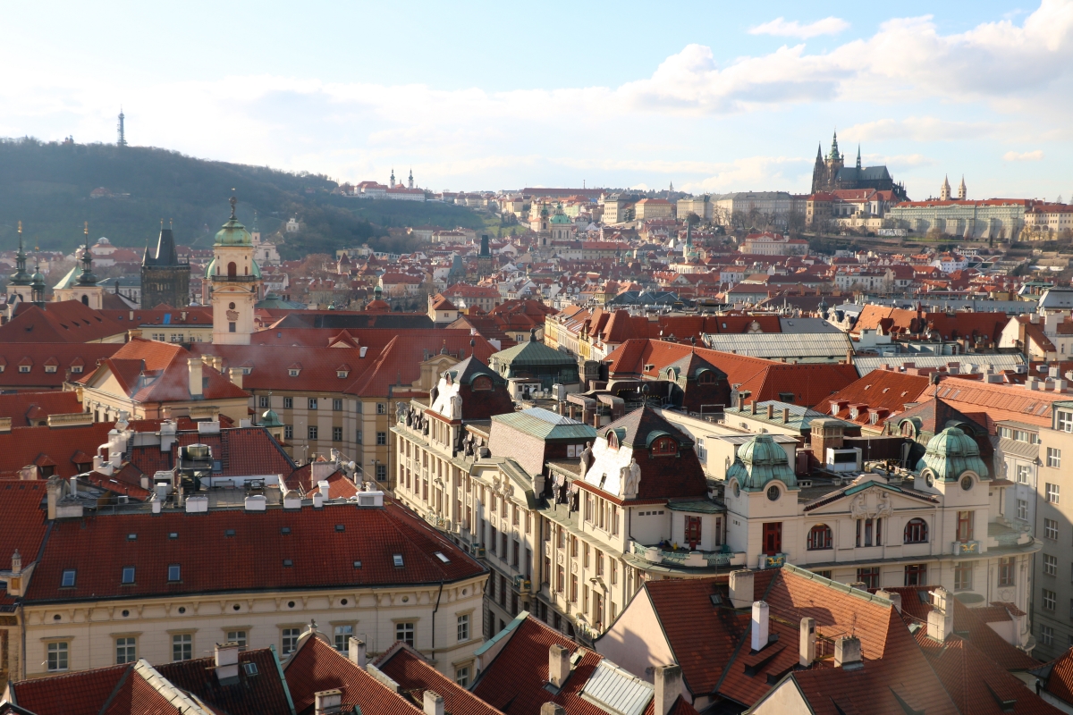 View from the Bell Tower 